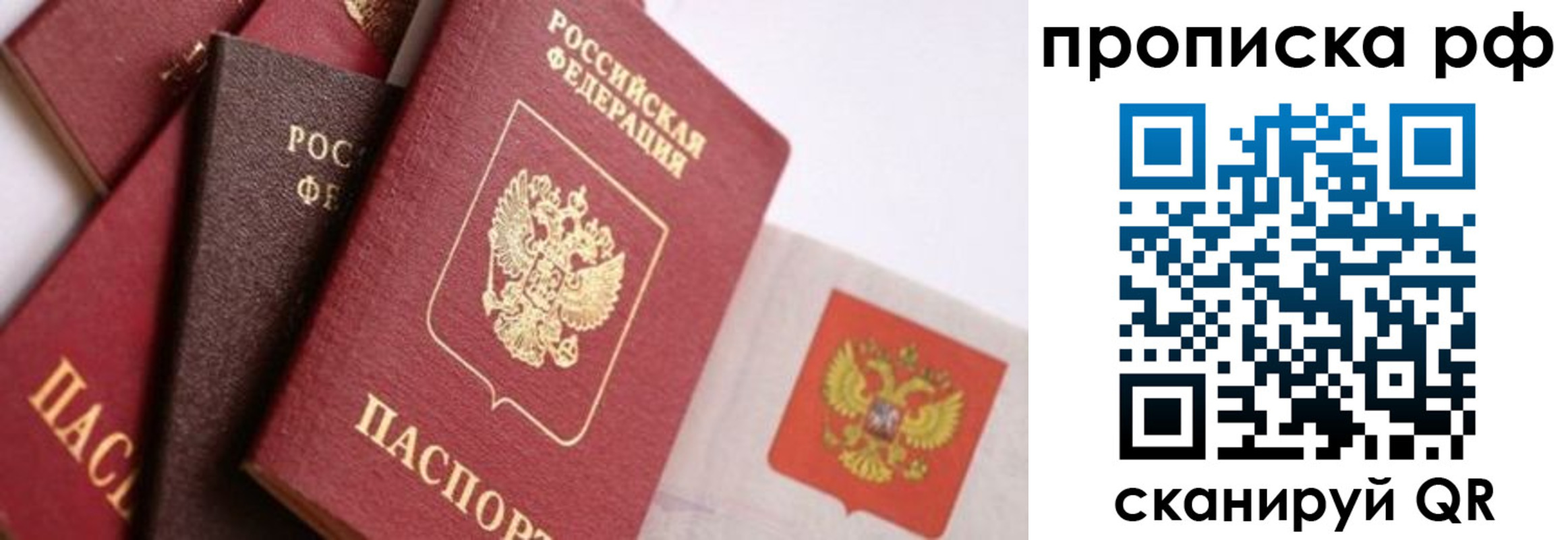 прописка ребенка в Фокино